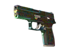 P250 | Visions image
